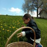 bambina raccoglie fiori al cason delle meraviglie