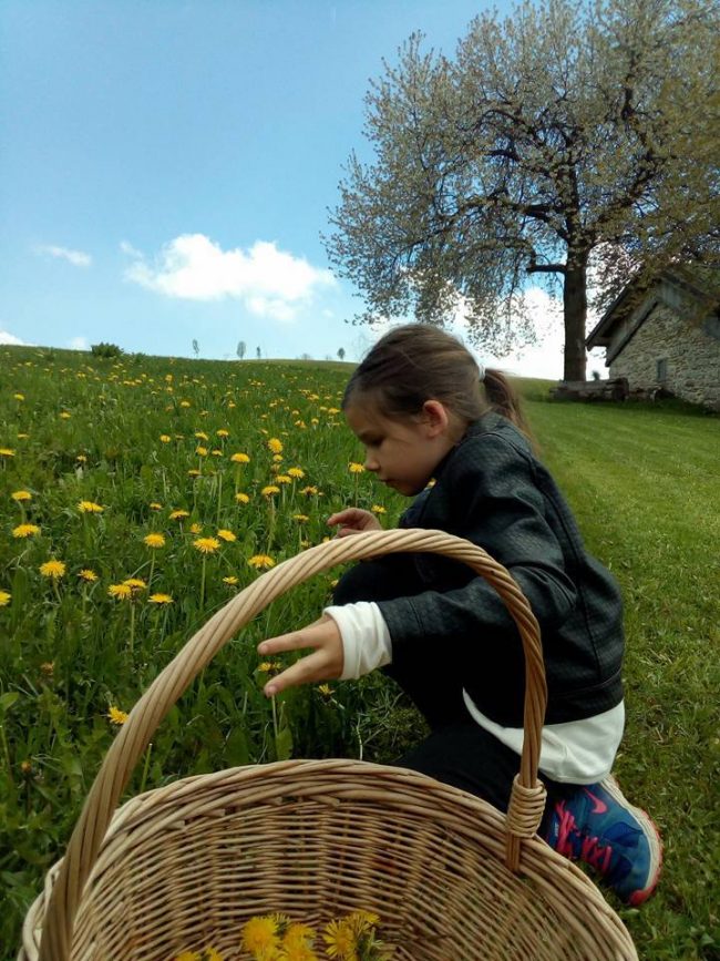 bambina raccoglie fiori al cason delle meraviglie